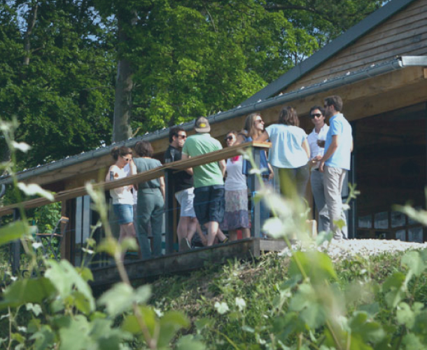 Balade en van formule Entre Vignerons et Grande Maisons